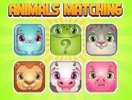 Animals Memory Matching