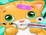 Little Cat Doctor Pet Ve...